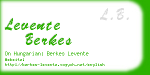 levente berkes business card